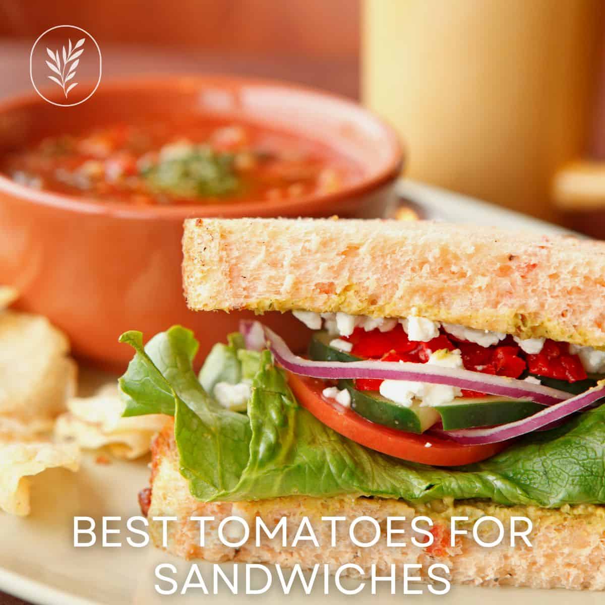 Best tomatoes for sandwiches via @home4theharvest