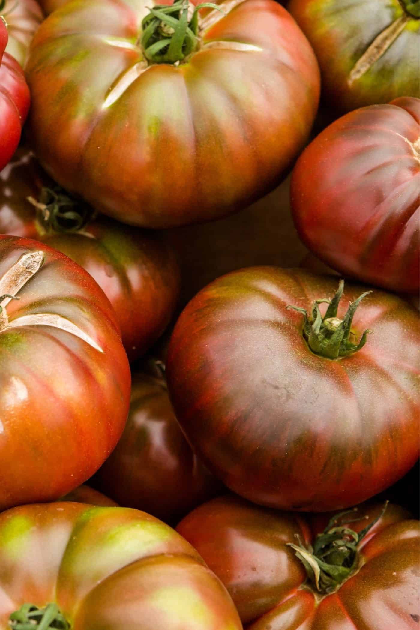 Black krim tomatoes