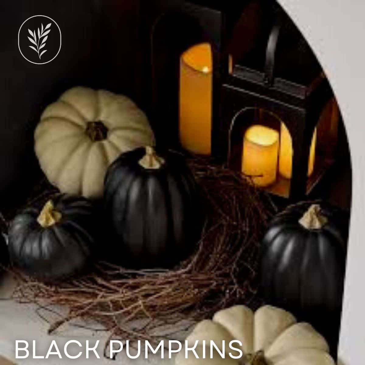 Black pumpkins via @home4theharvest