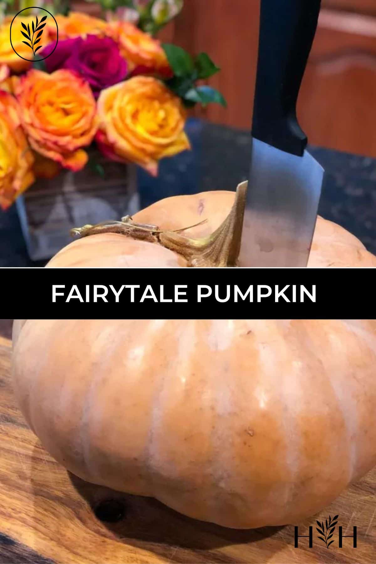 Fairytale pumpkin via @home4theharvest