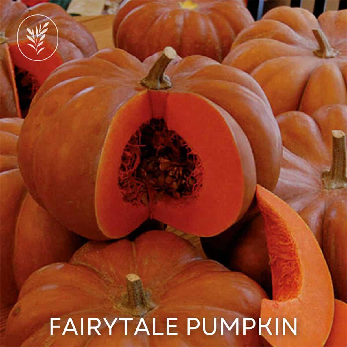 Fairytale pumpkin via @home4theharvest