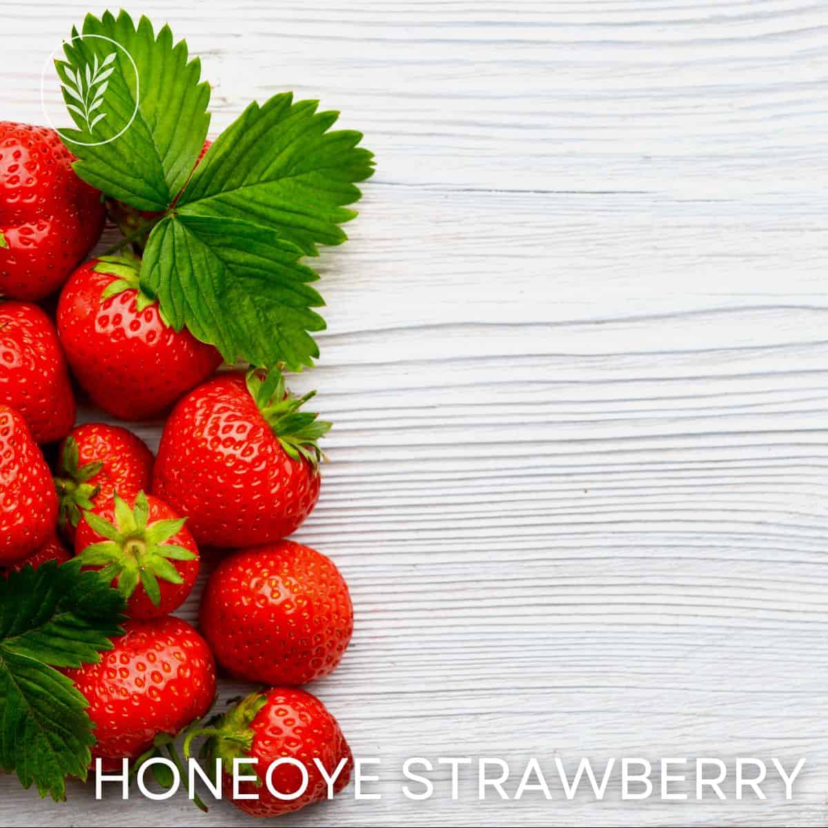 Honeoye strawberry via @home4theharvest