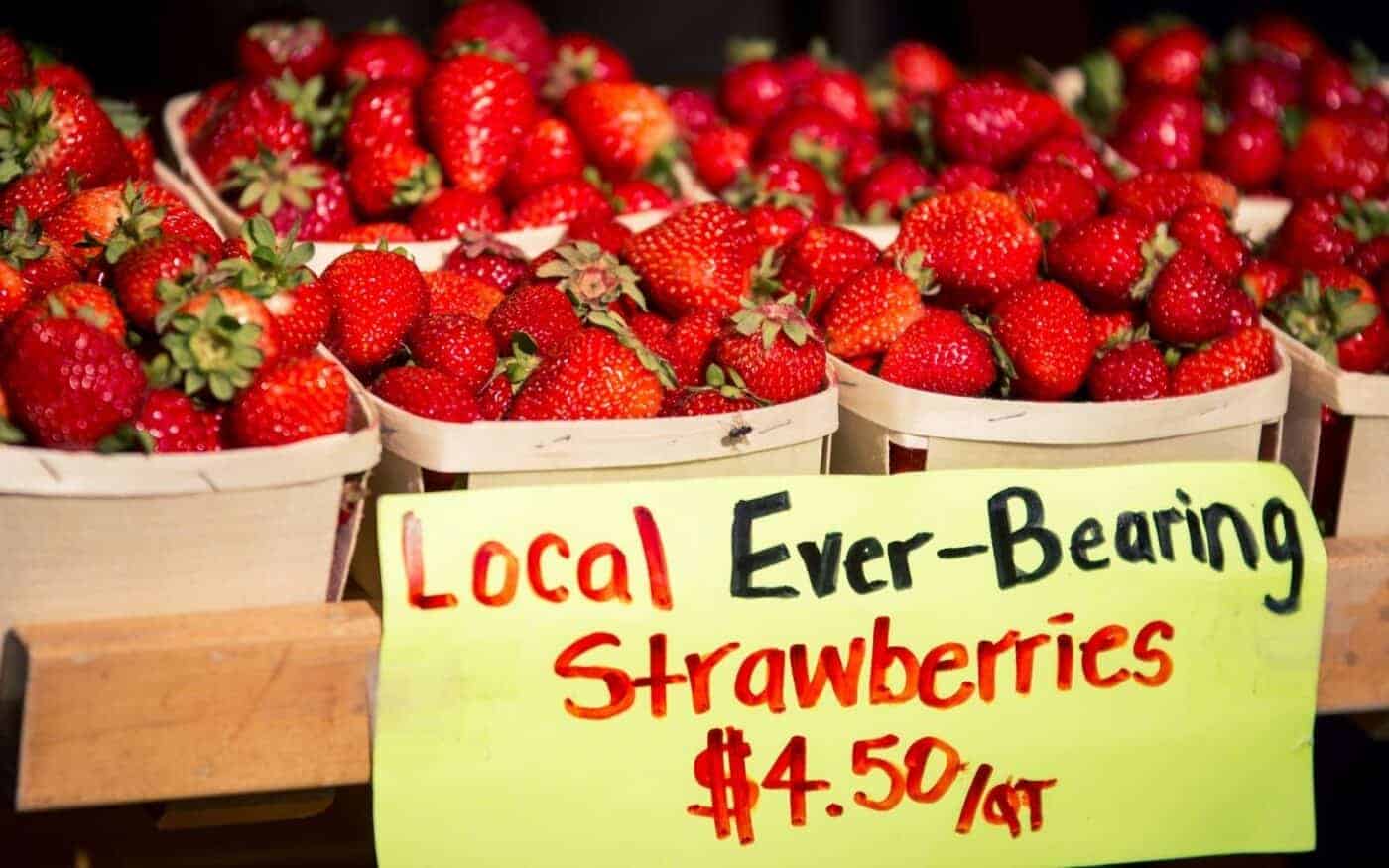 Local everbearing strawberries