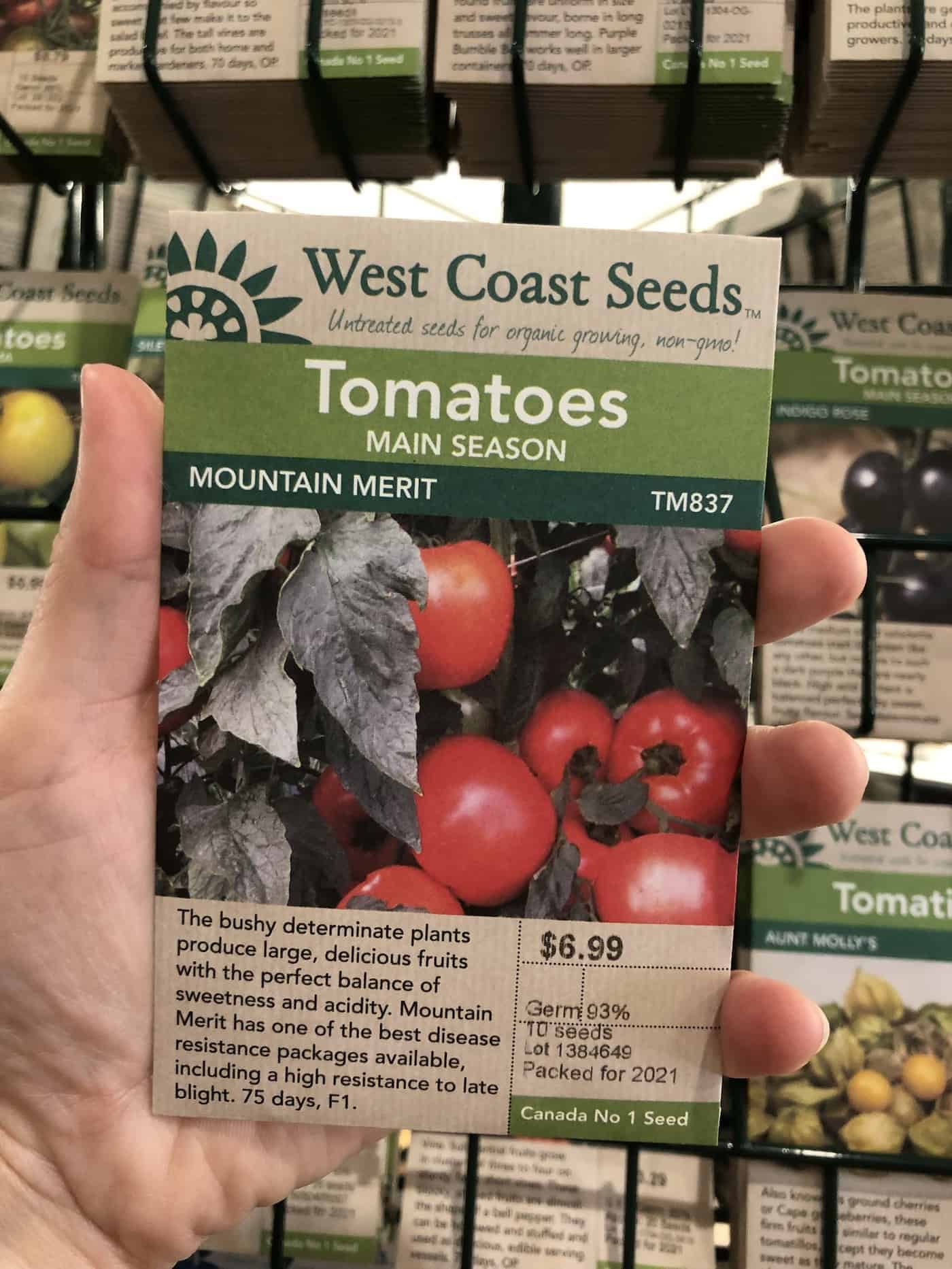 Mountain merit determinate large tomato seeds