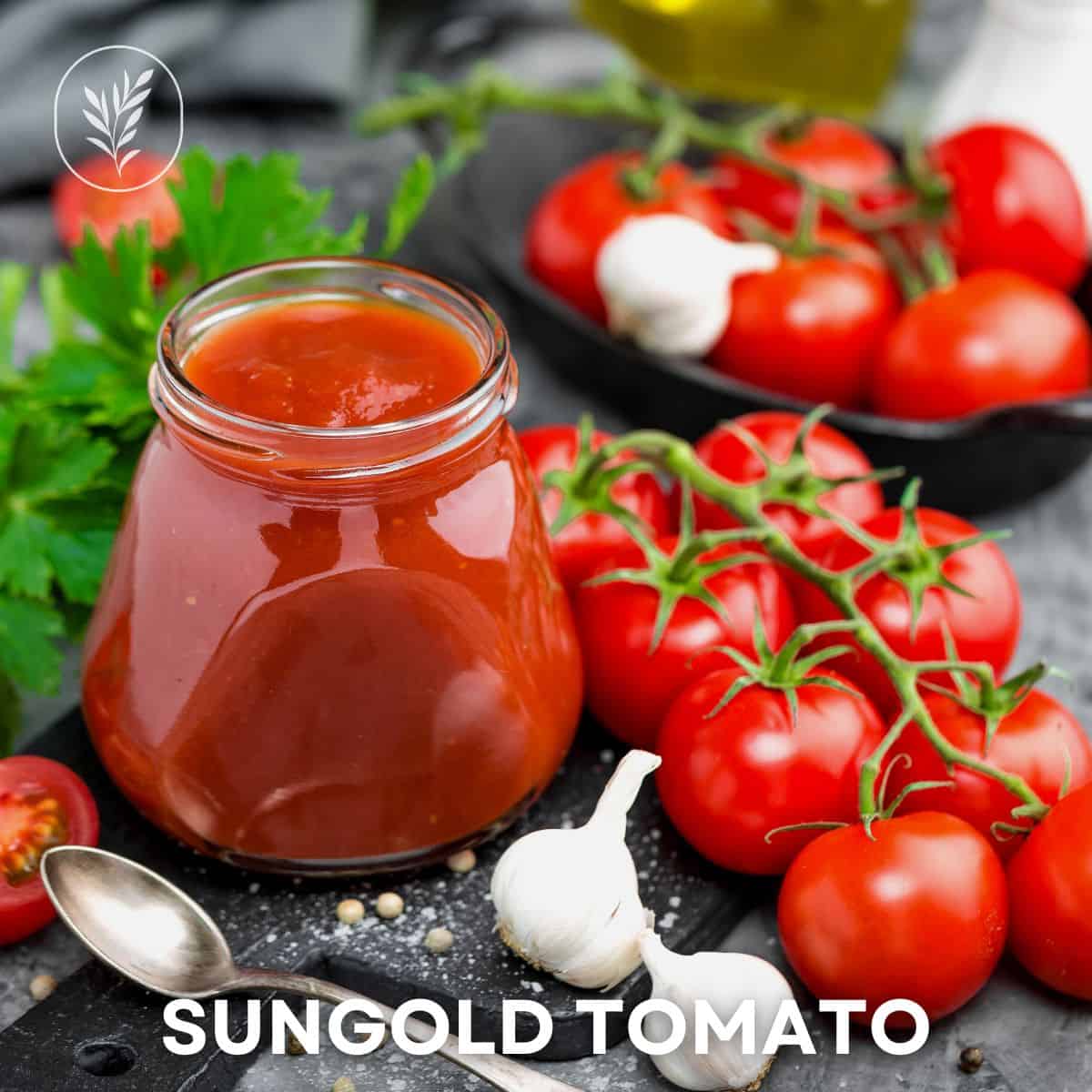Sungold tomato via @home4theharvest