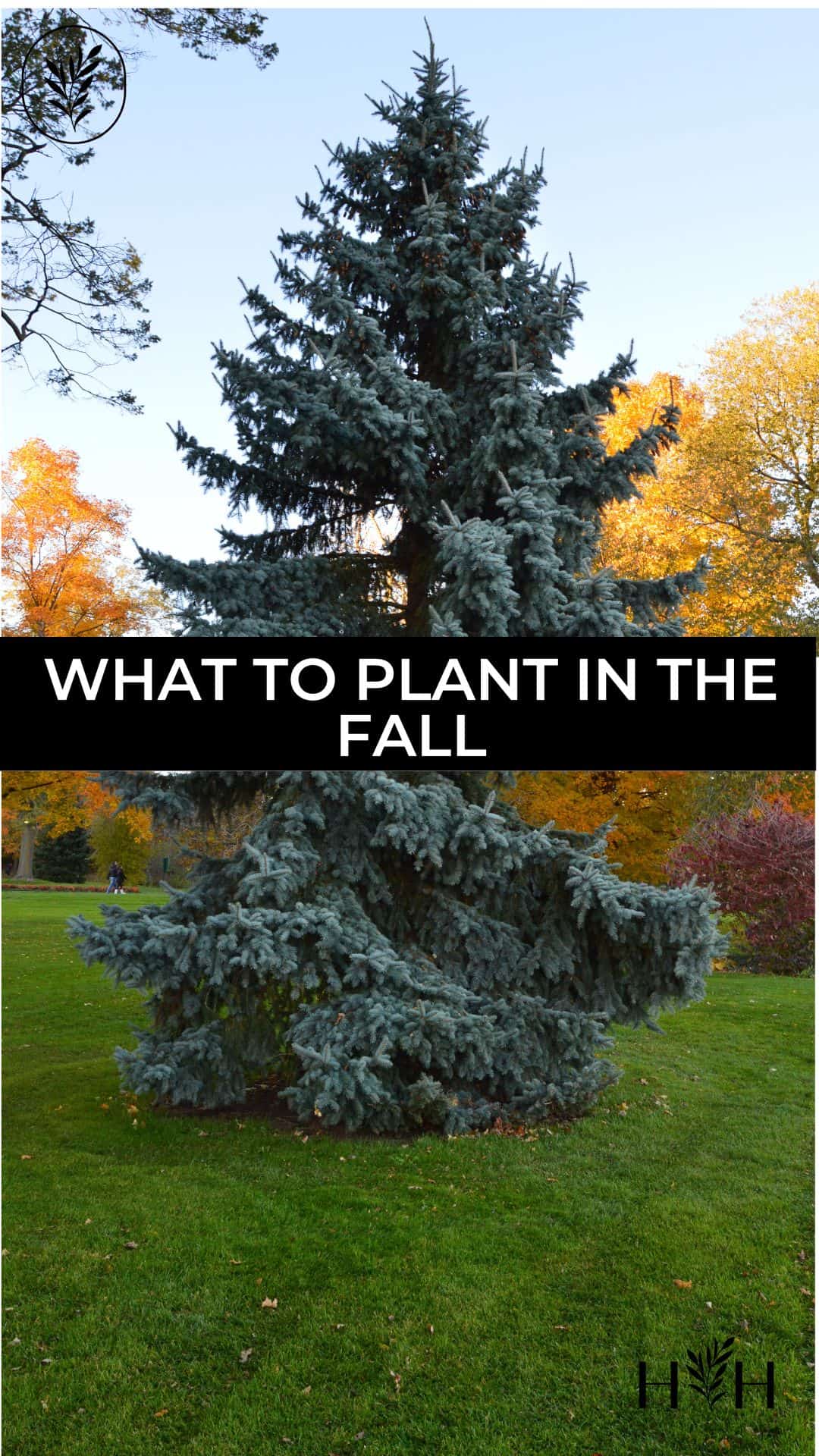 What to plant in the fall via @home4theharvest