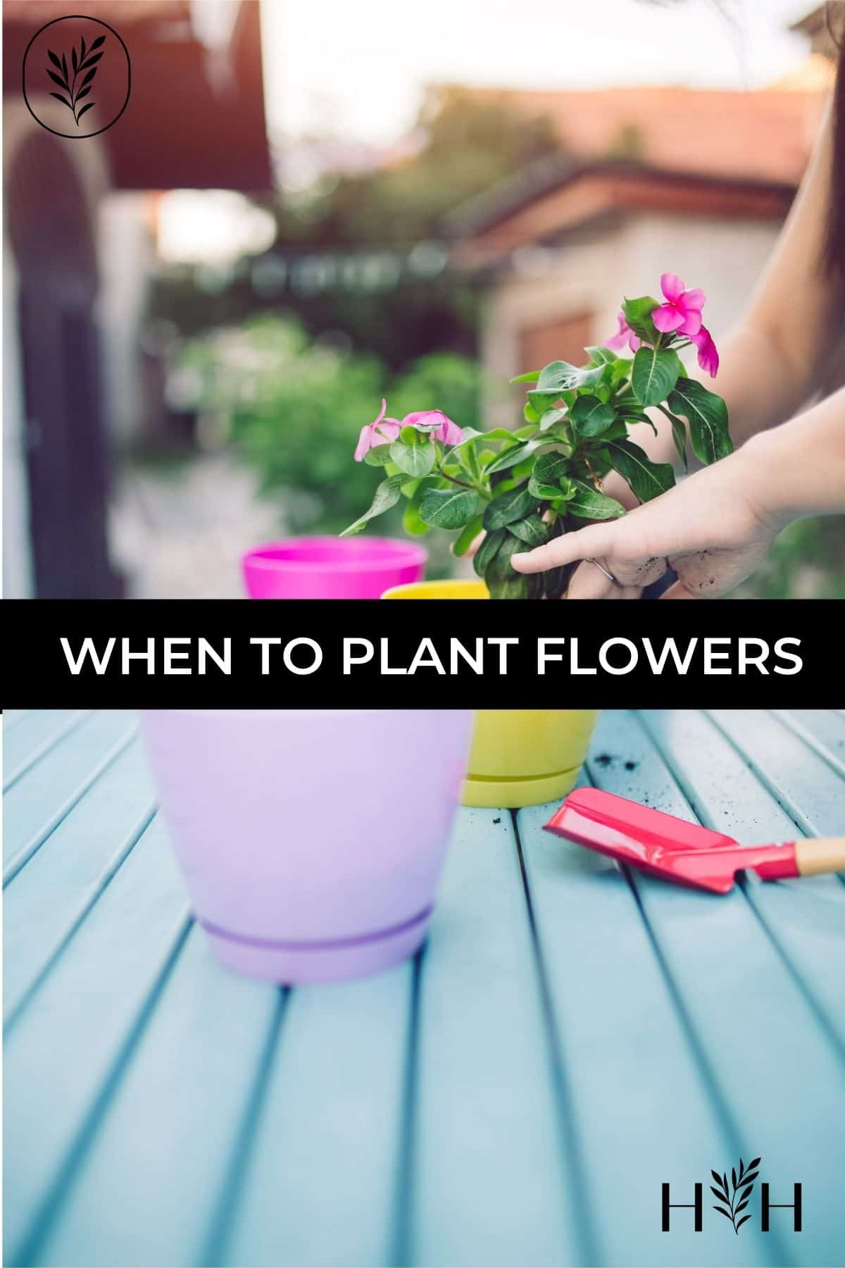 When to plant flowers via @home4theharvest