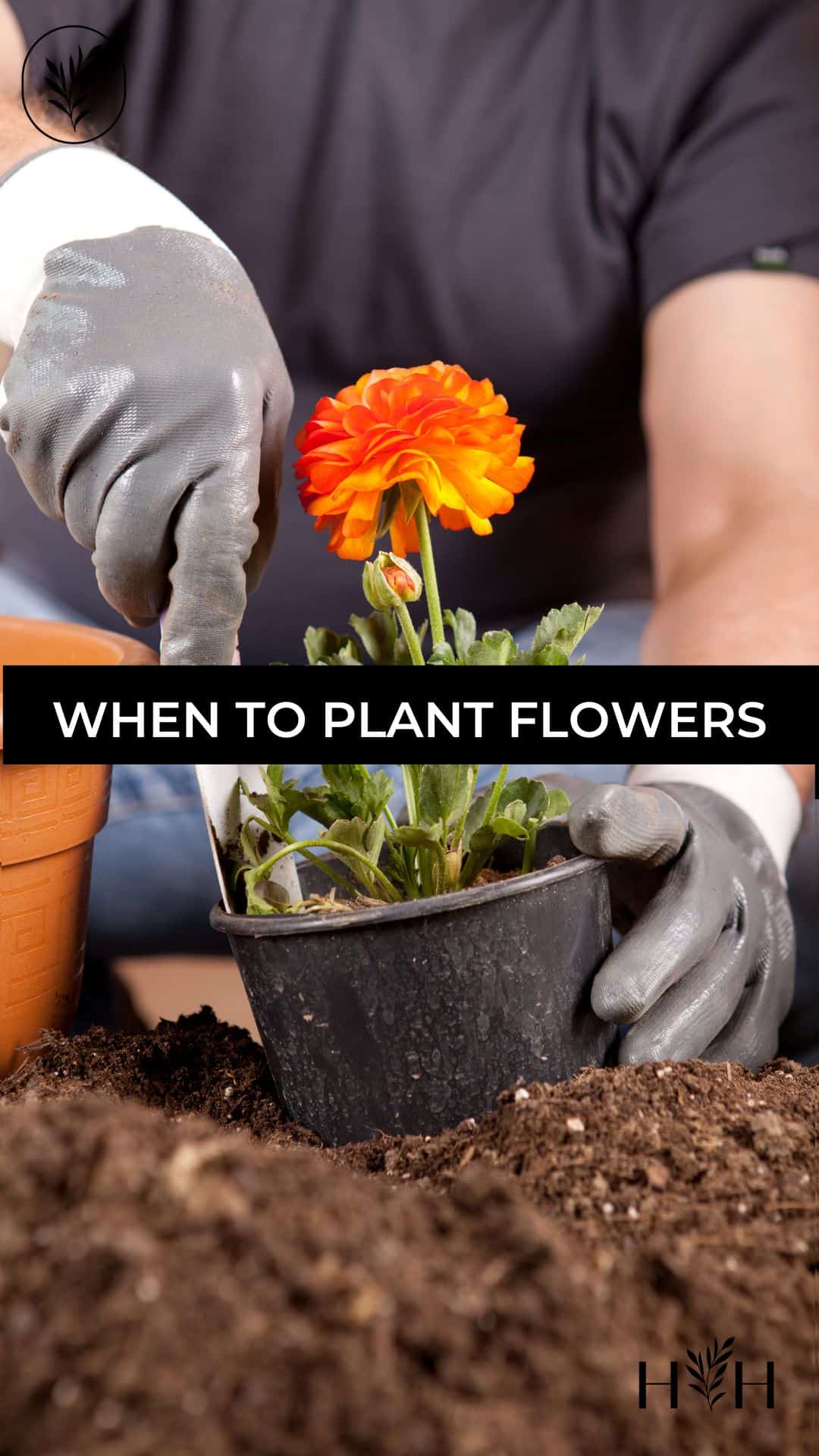 When to plant flowers via @home4theharvest