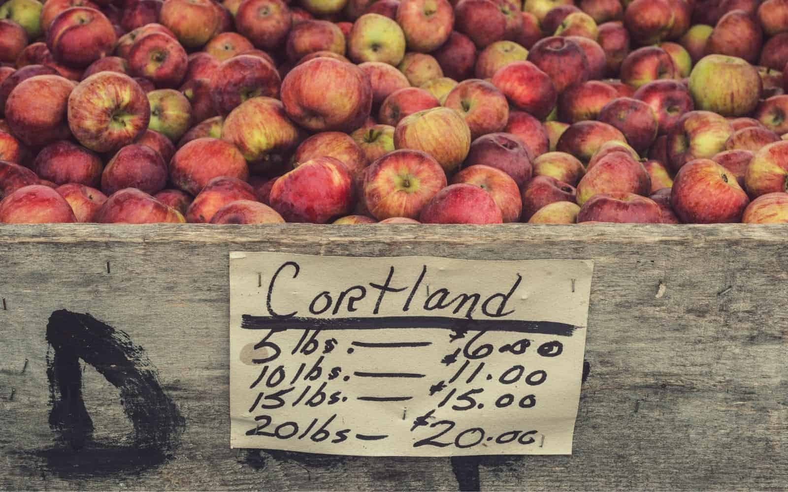 Cortland apples - prices on a sign