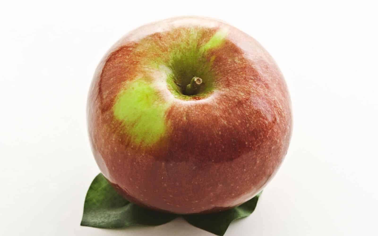 Macoun apple