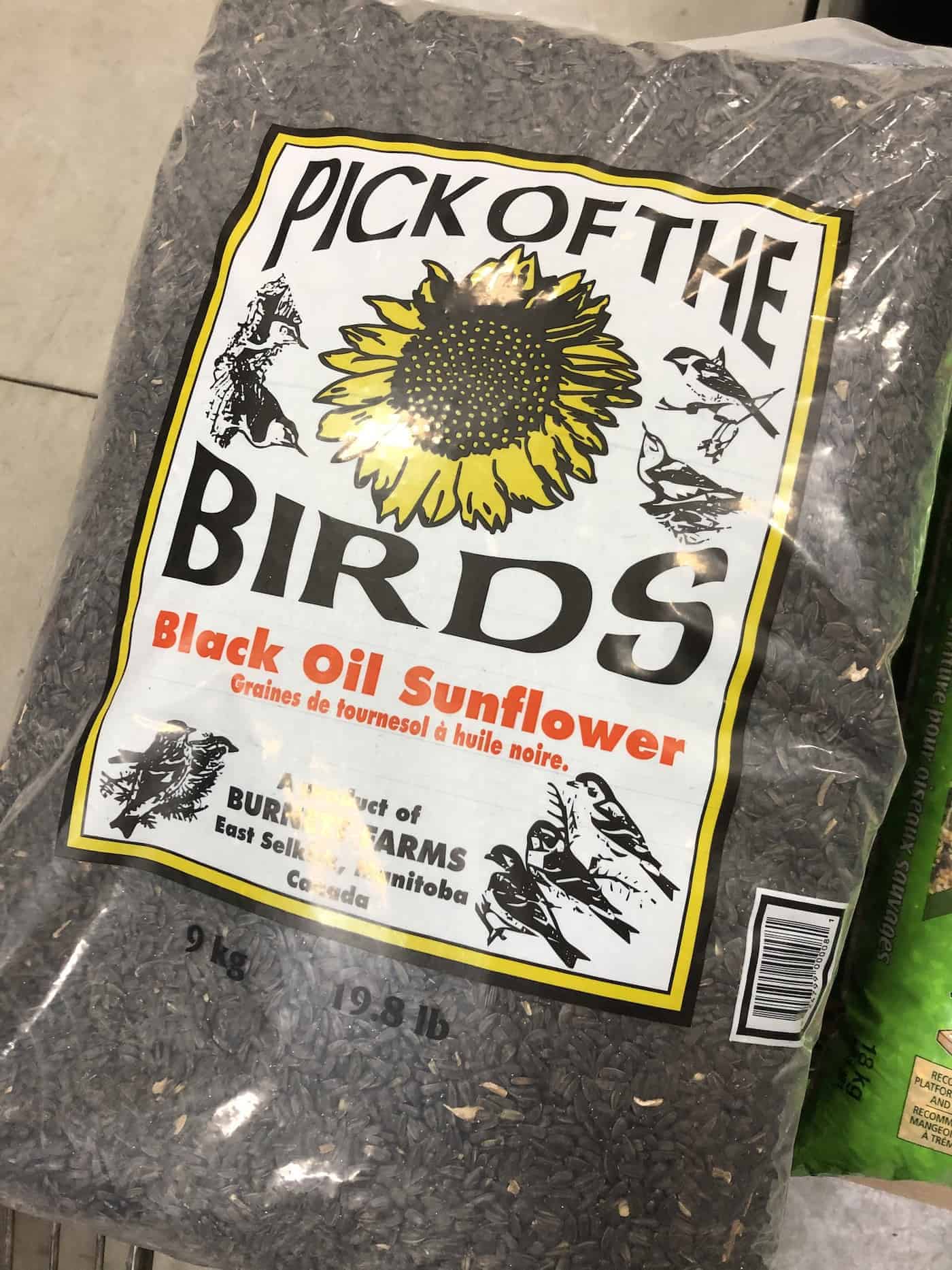 Black oil sunflower seeds - bird seed for feeding song birds