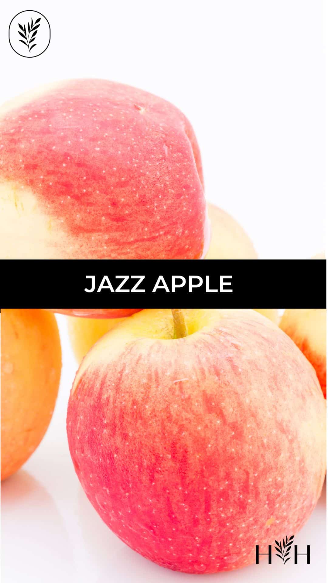 Jazz apple via @home4theharvest