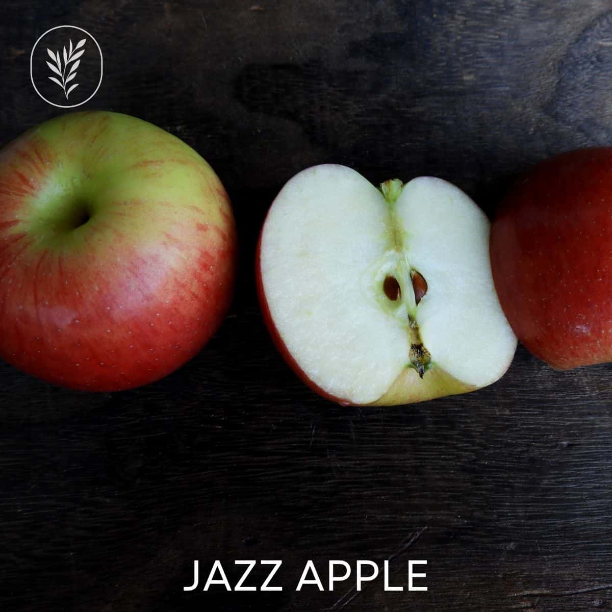 Jazz apple via @home4theharvest