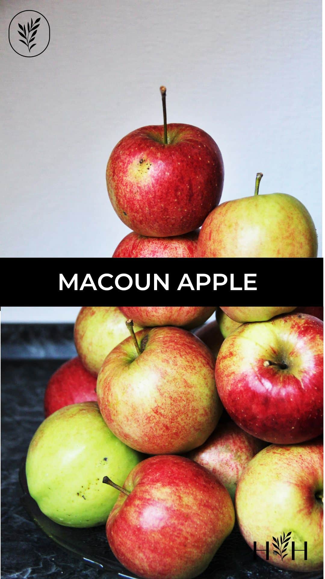 Macoun apple via @home4theharvest