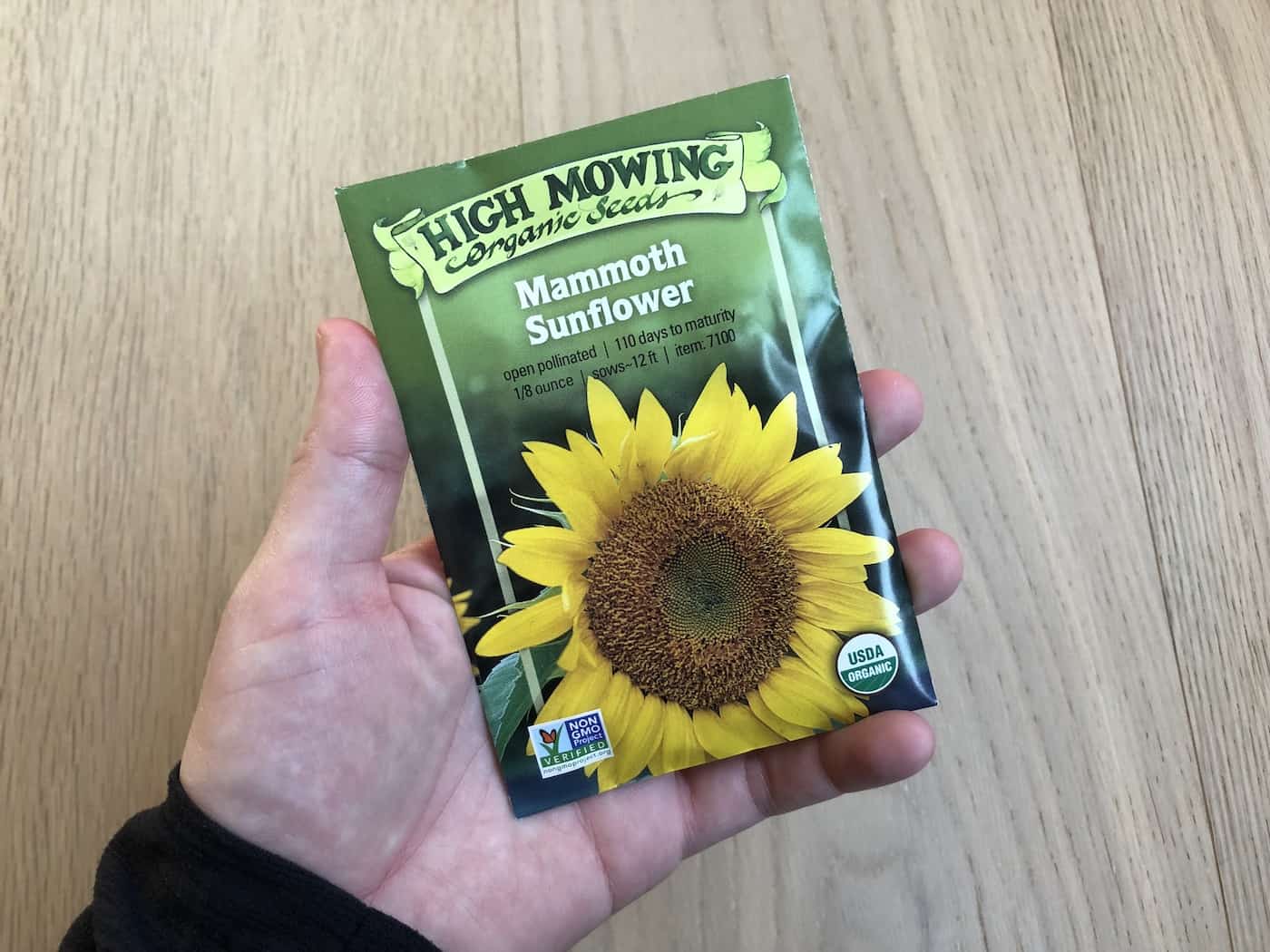 Mammoth sunflower seeds