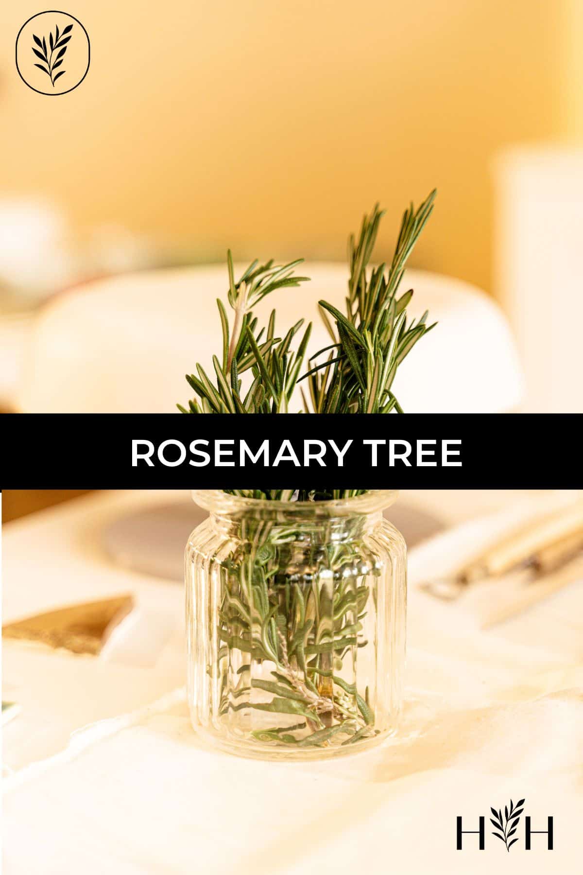Rosemary tree via @home4theharvest