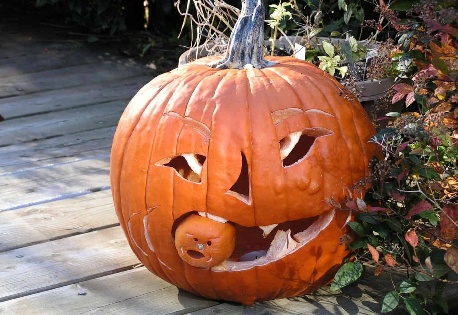 Scary jack-o-lantern eating a small pumpkin