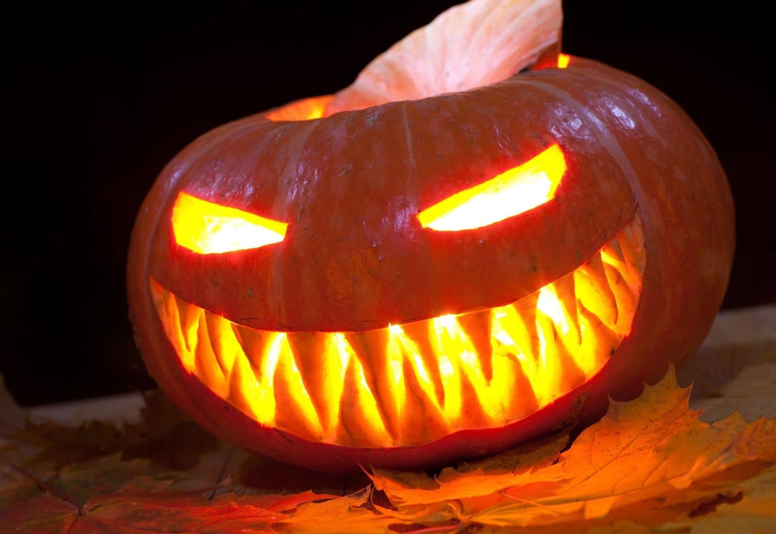 Scary jack-o-lantern face carvings