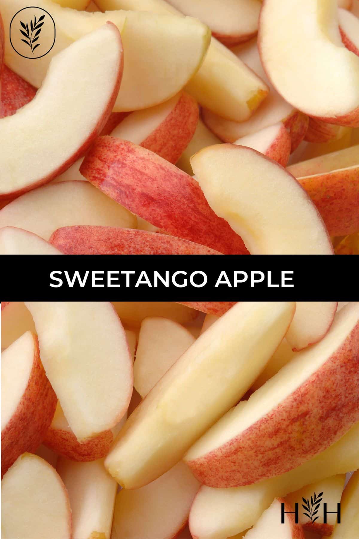 Sweetango apple via @home4theharvest