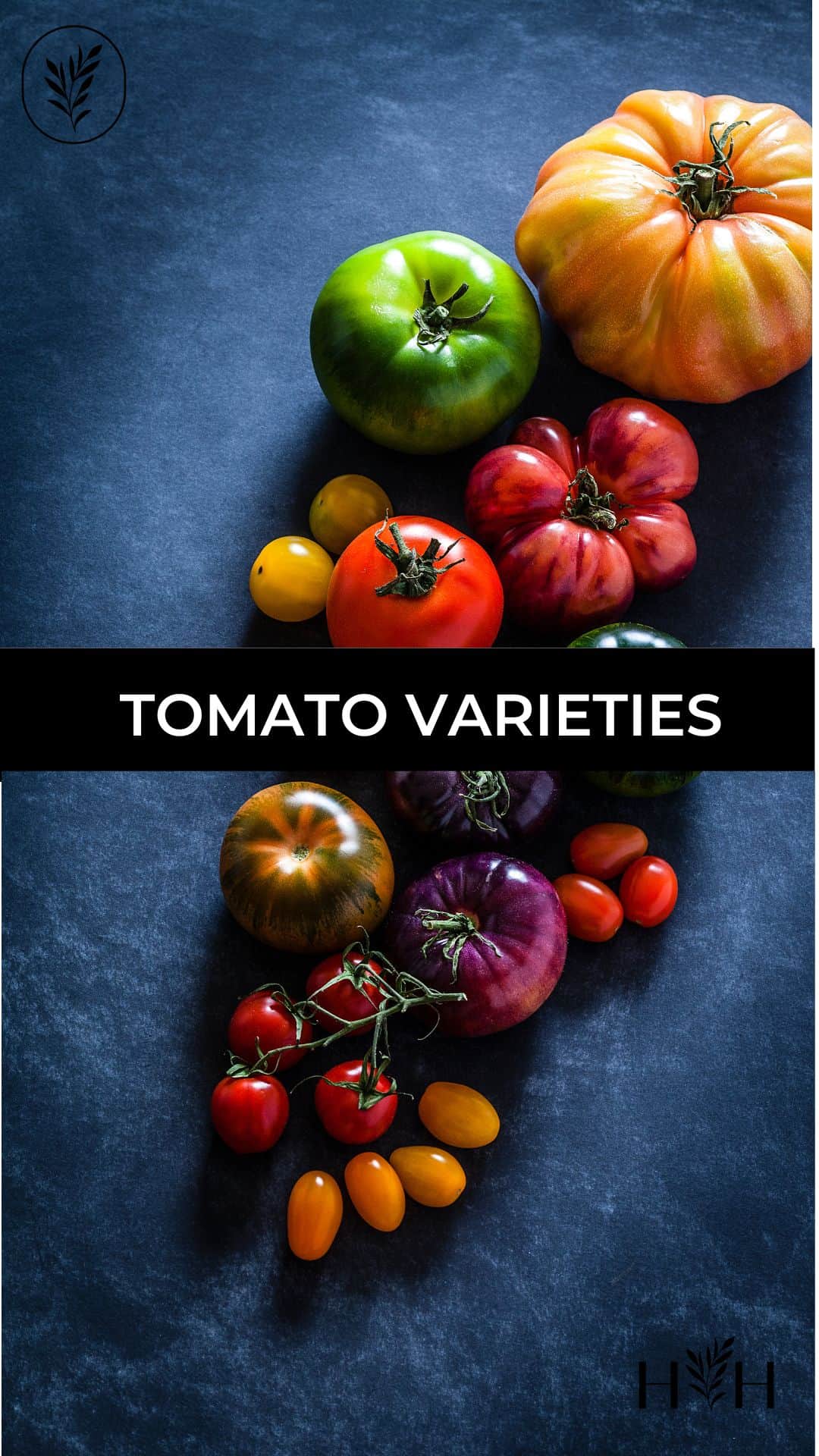 Tomato varieties via @home4theharvest