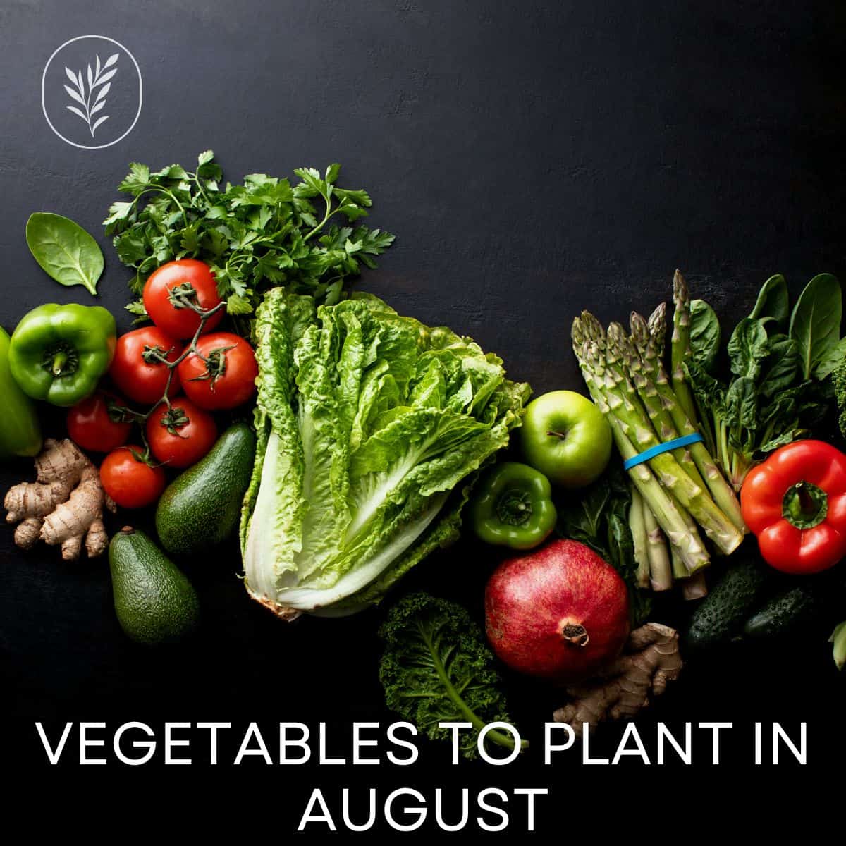Vegetables to plant in august via @home4theharvest