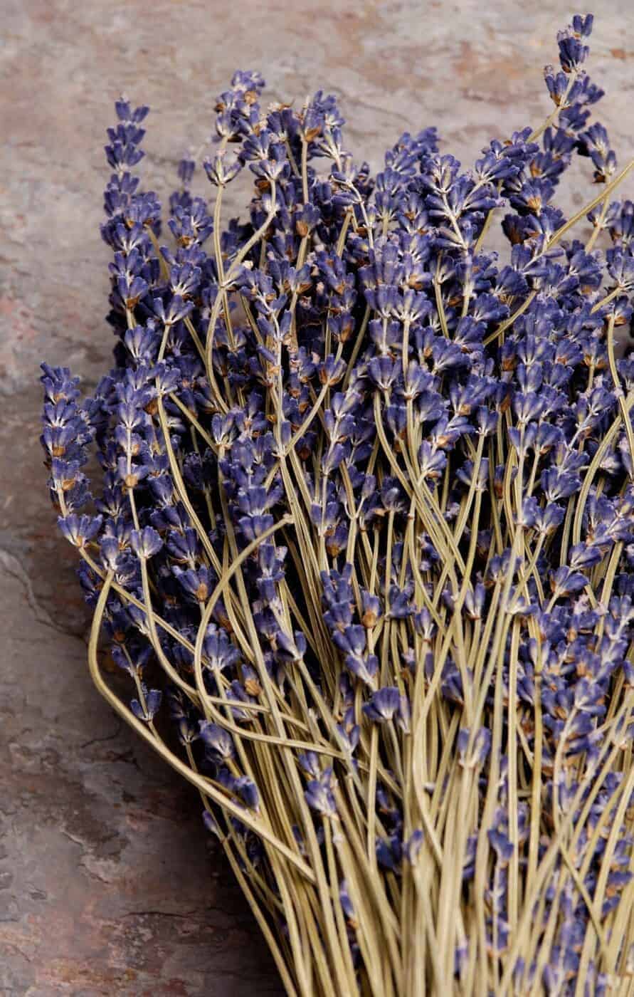 English lavender - dried