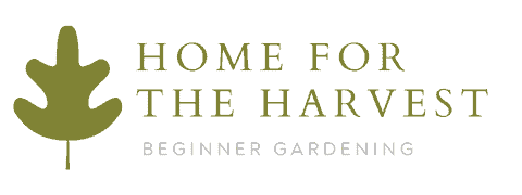 Home for the Harvest - Beginner Gardening