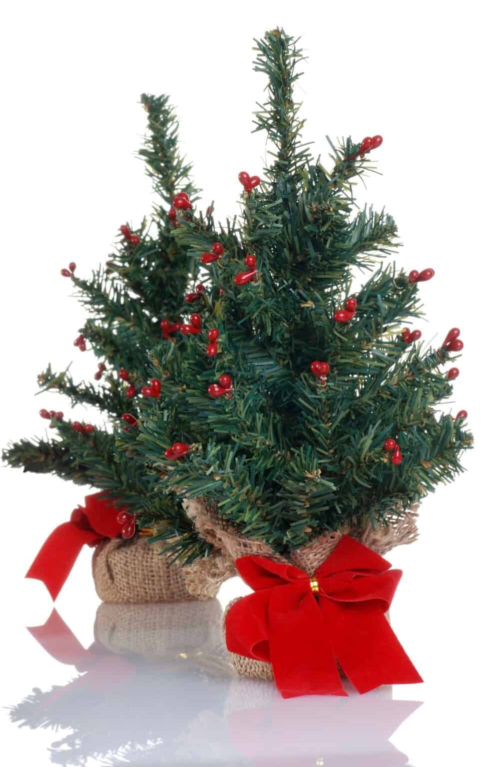 Mini Christmas tree Live vs faux, care tips, and tiny ornaments Home