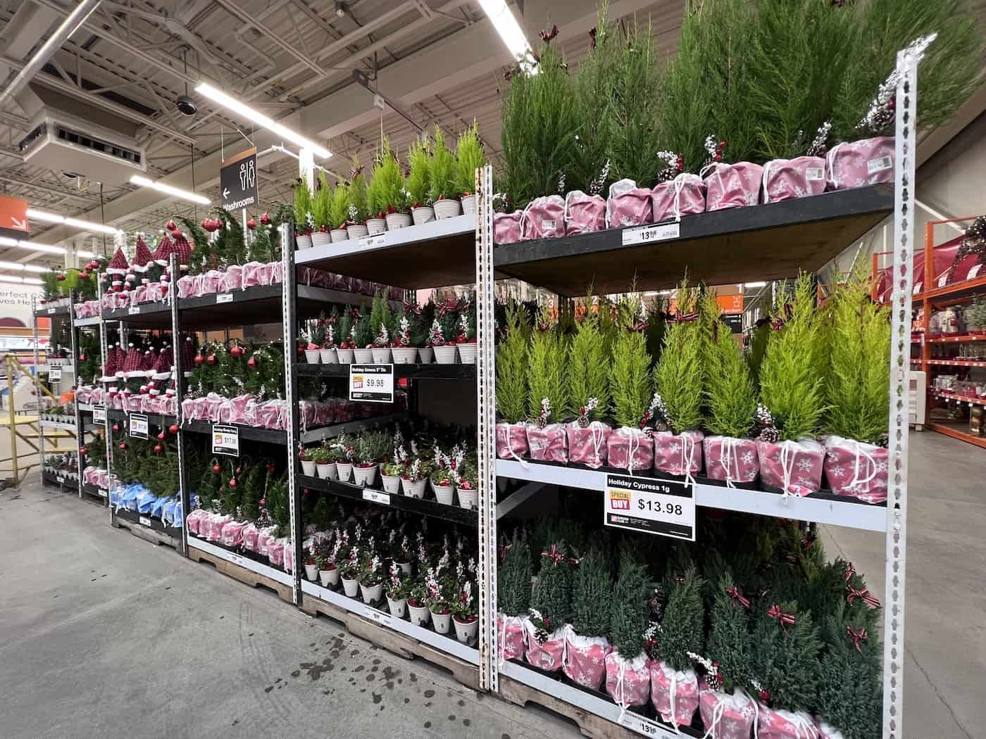 Mini christmas trees for sale at home depot