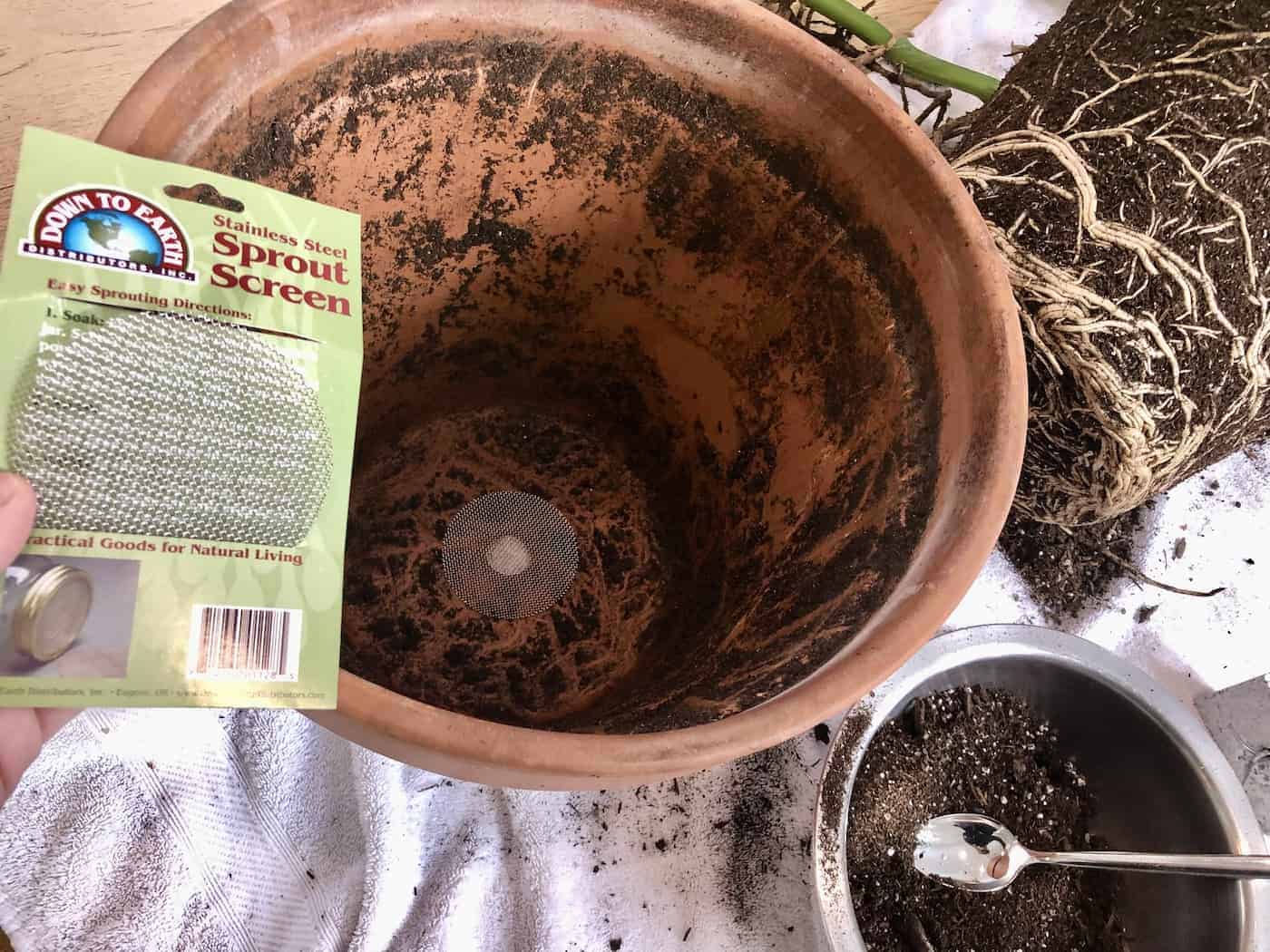 Drainage hole at bottom of planter pot