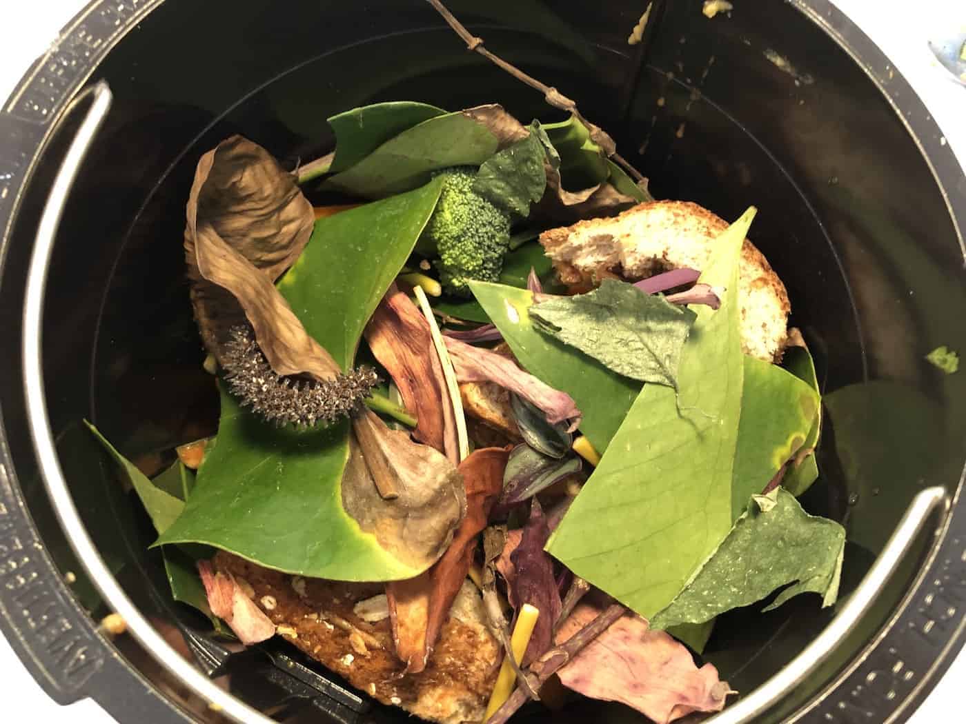 Filling lomi bucket with food waste - what can go in