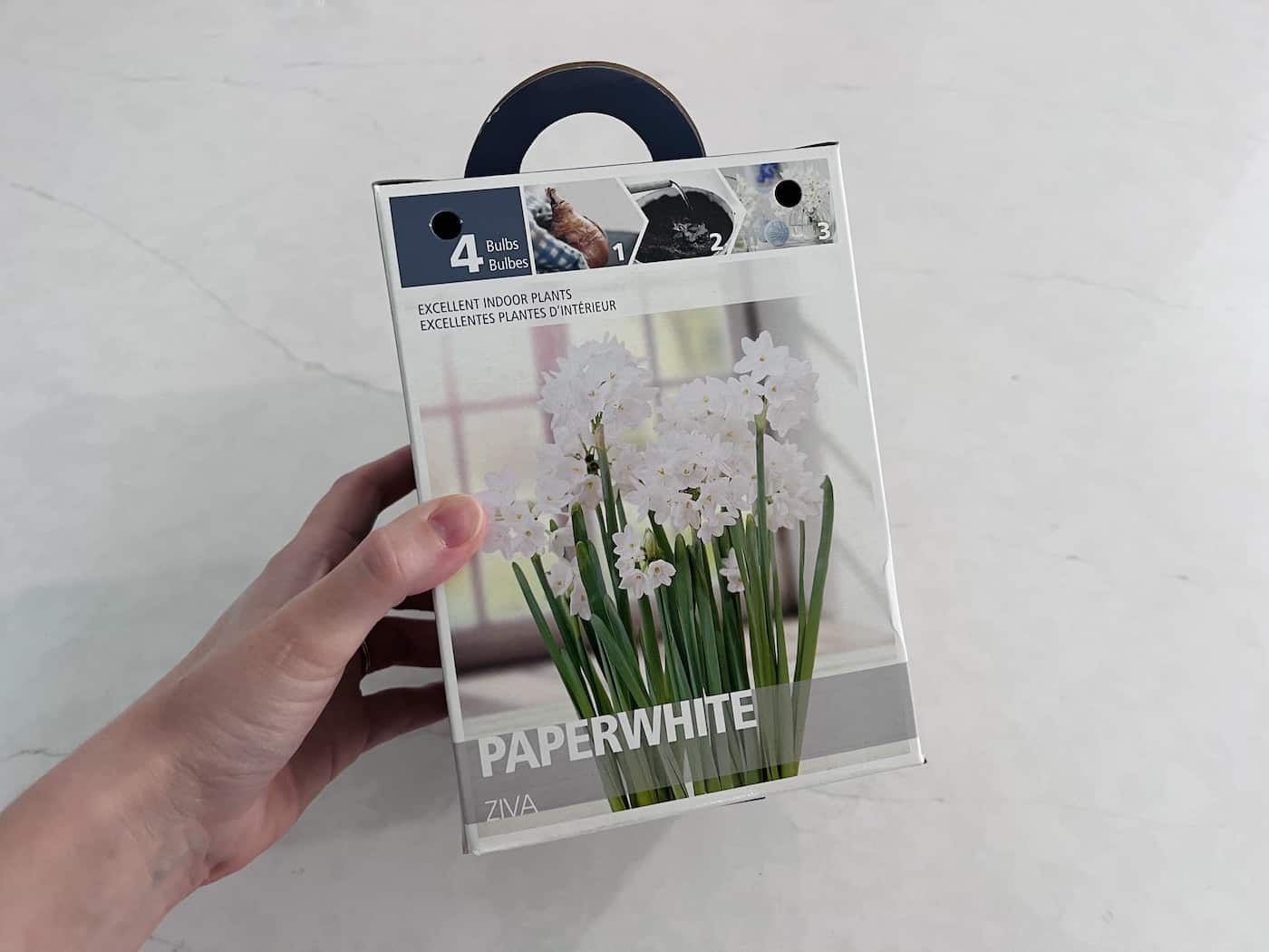 Paperwhite kit in box