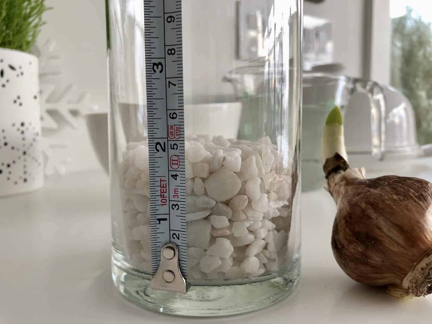 Pebbles for growing a paperwhite bulb without soil