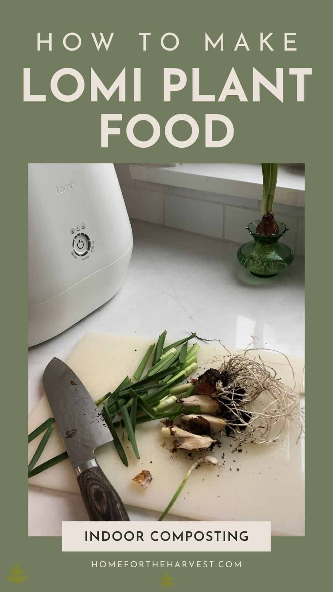 How to make diy lomi plant food - houseplant fertilizer via @home4theharvest