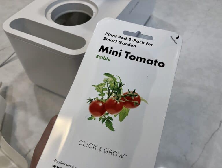 Click and grow tomatoes