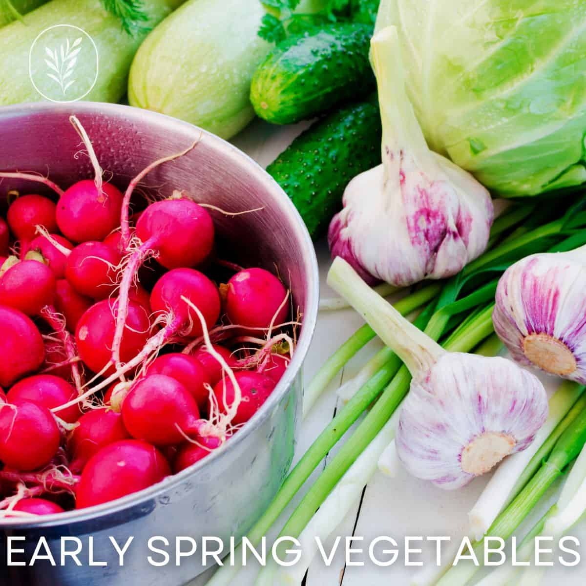 Early spring vegetables via @home4theharvest