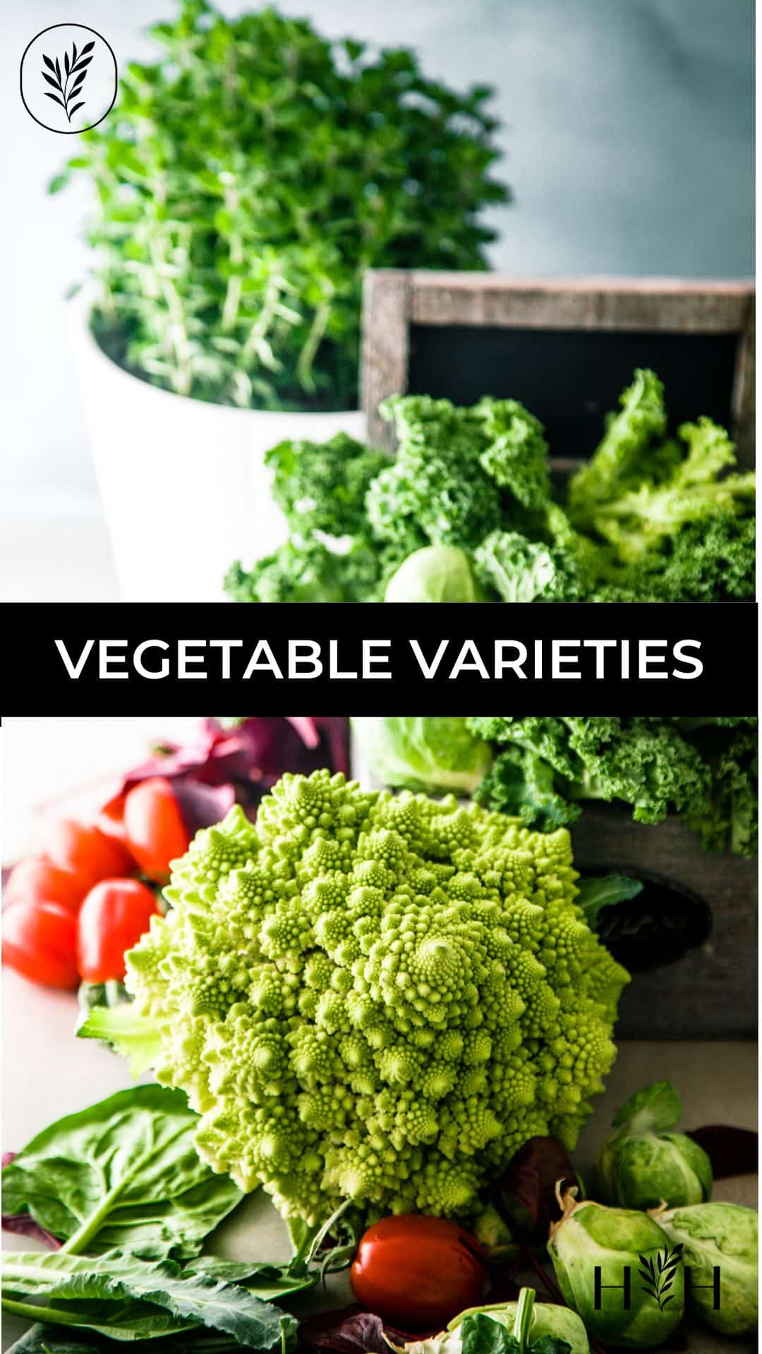 Vegetable varieties via @home4theharvest