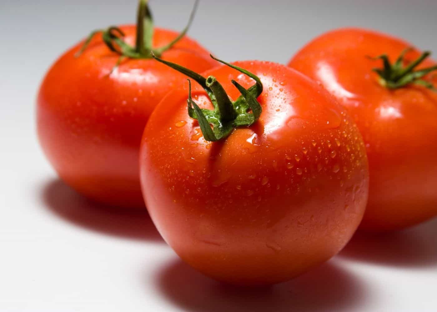 Celebrity tomatoes
