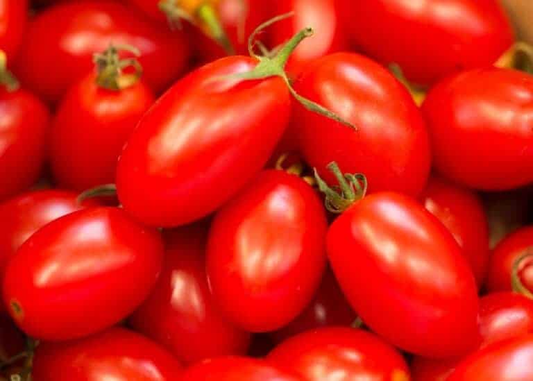 Juliet tomato 🍅 🎭 Grape tomato love at first bite