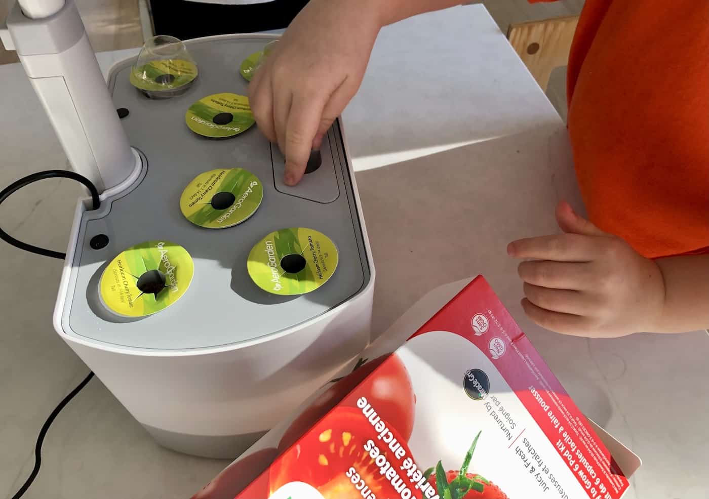 how to grow tomatoes in the aerogarden