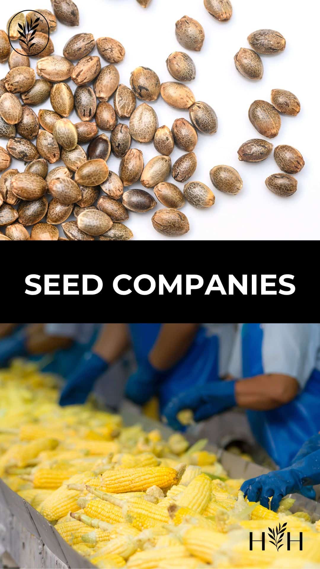 Seed companies via @home4theharvest