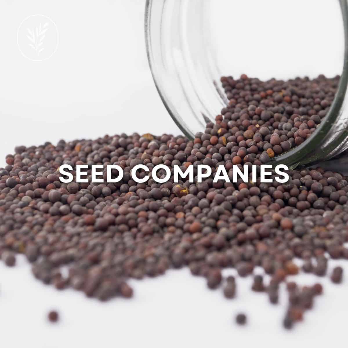 Seed companies via @home4theharvest