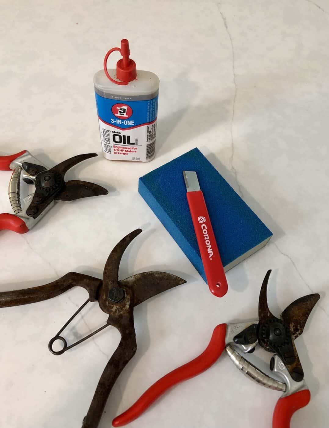 Supplies for sharpening pruning shears
