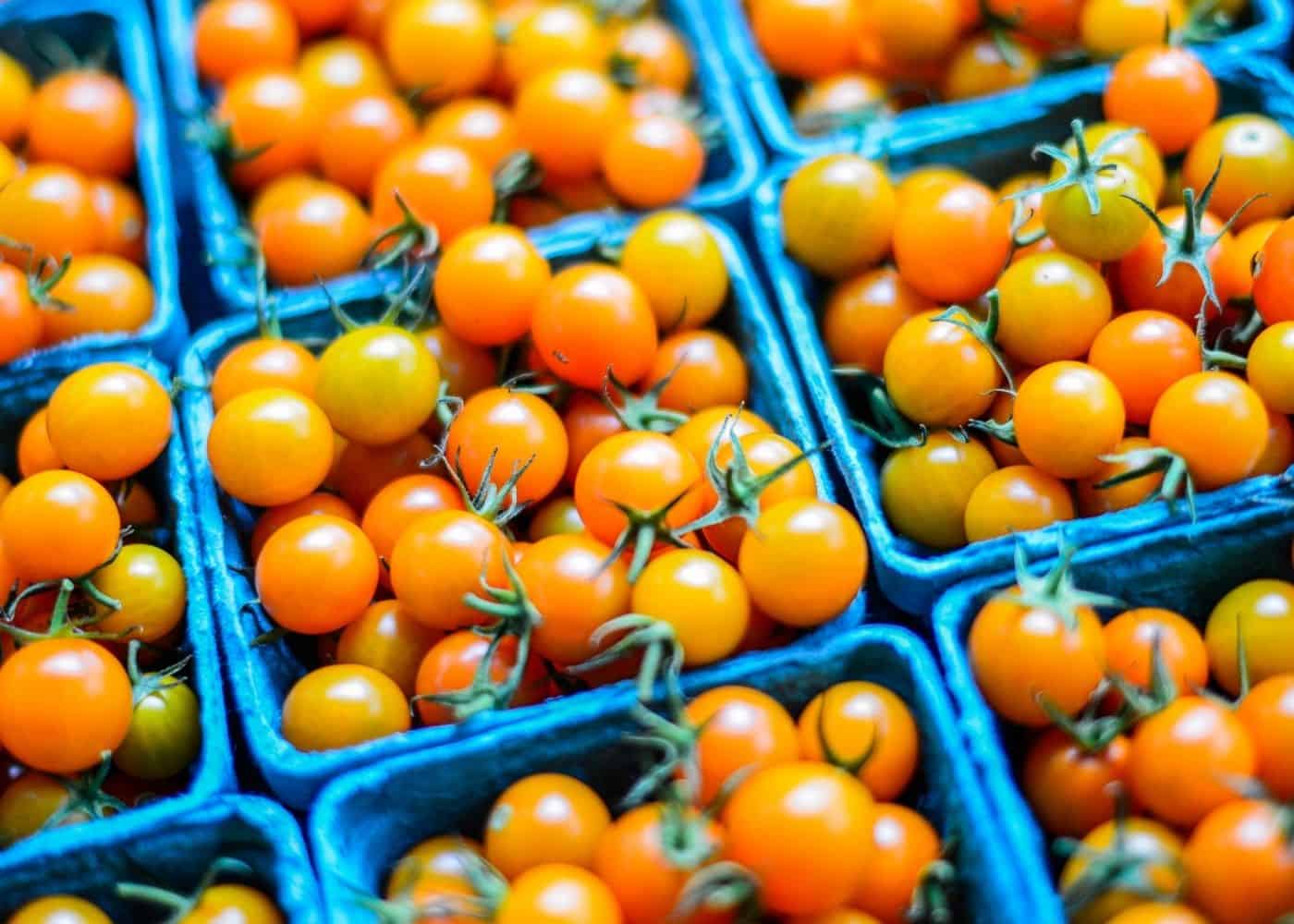 Sun sugar tomatoes at market