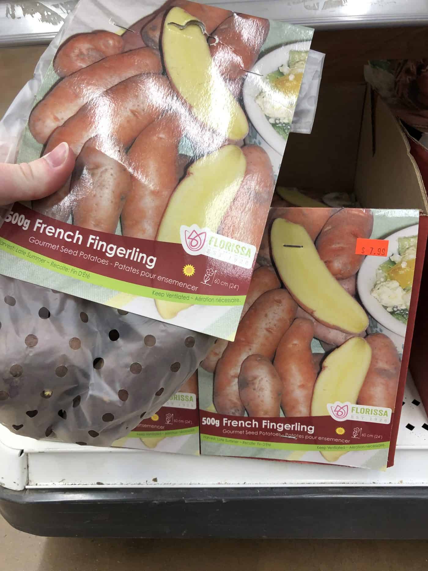 french fingerling potatoes