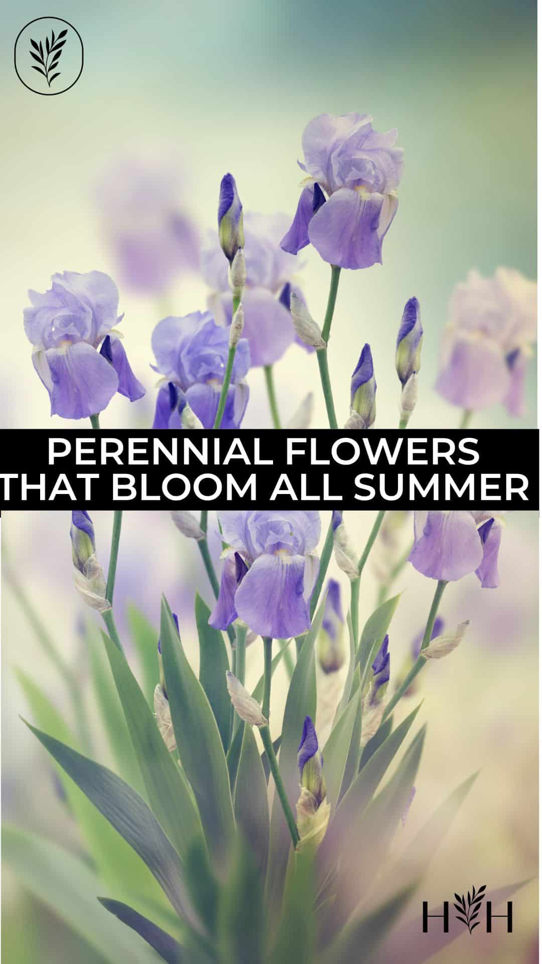 Perennial flowers that bloom all summer via @home4theharvest