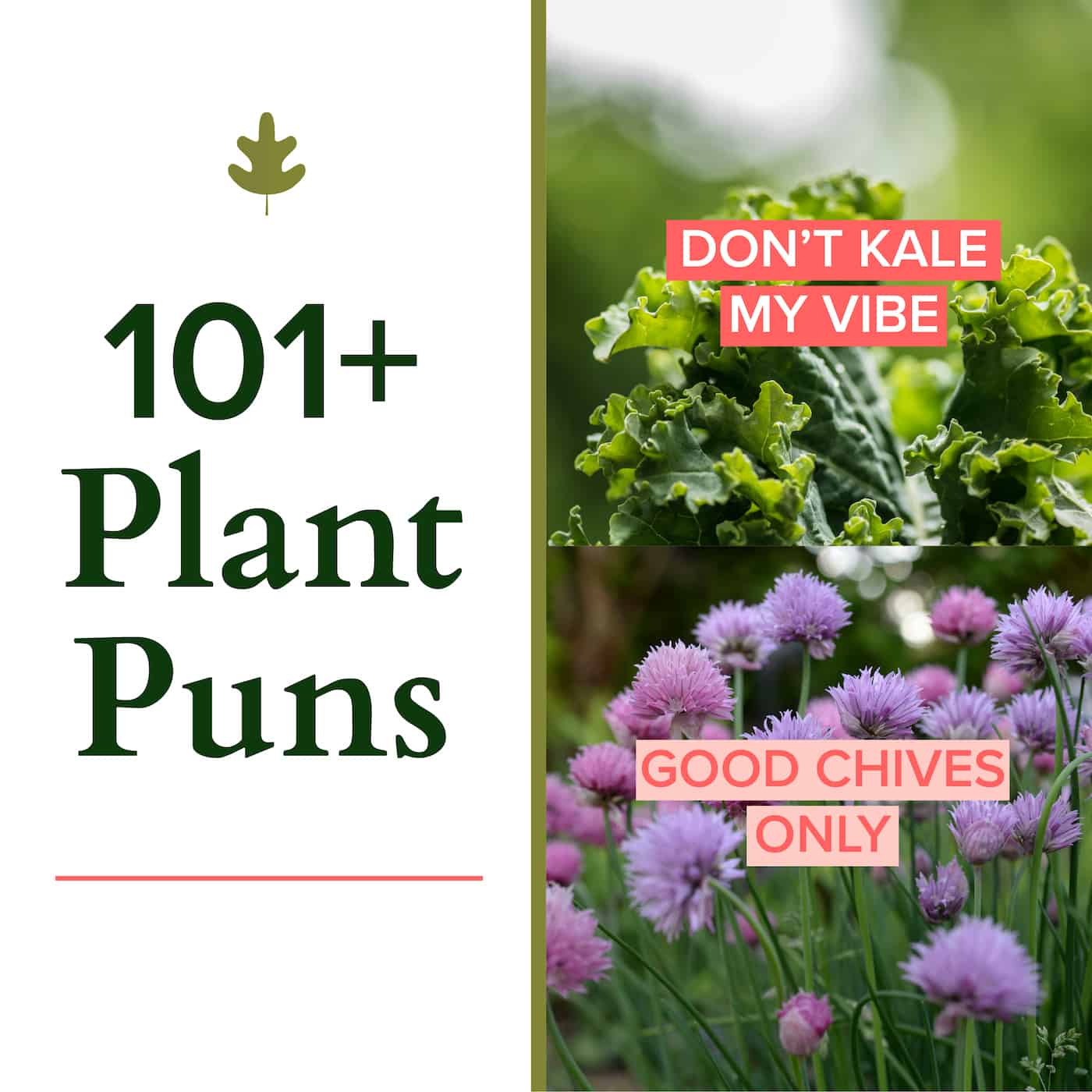 101 plant puns via @home4theharvest