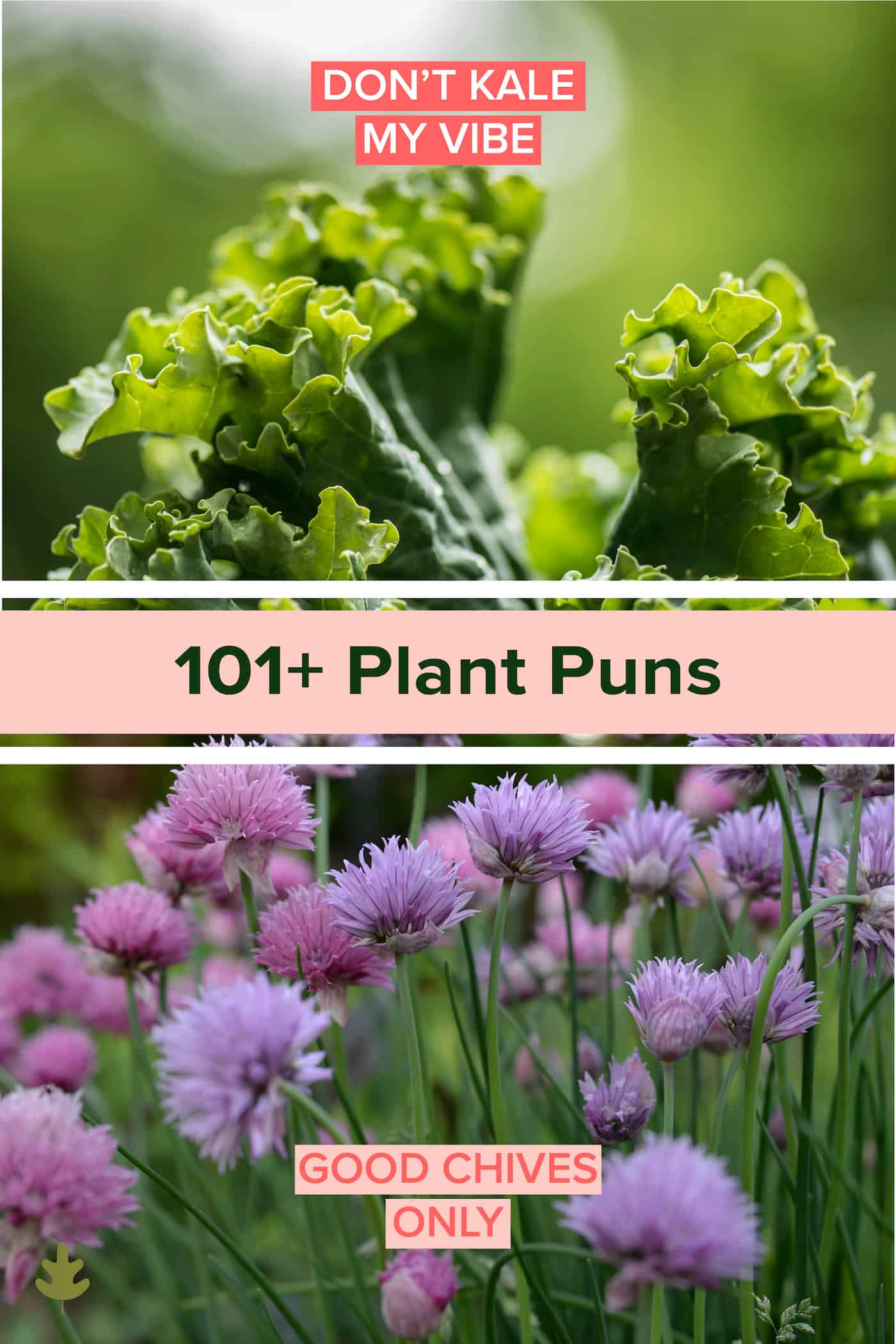 101 plant puns via @home4theharvest