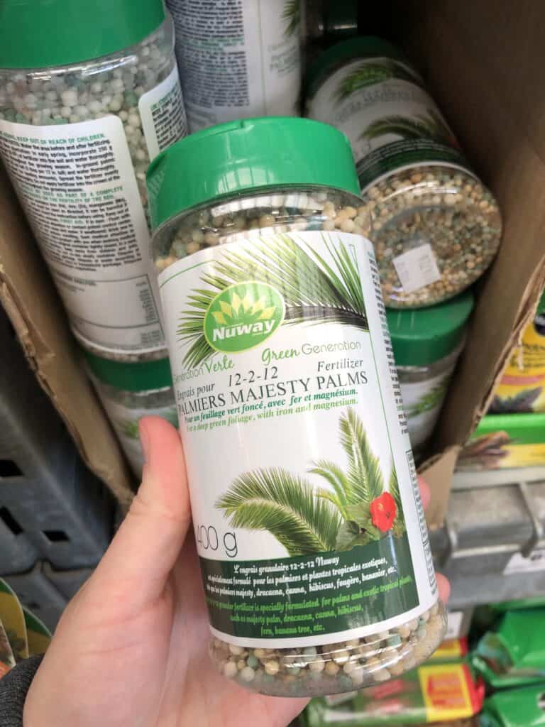 Majesty Palm Fertilizer at Home Depot