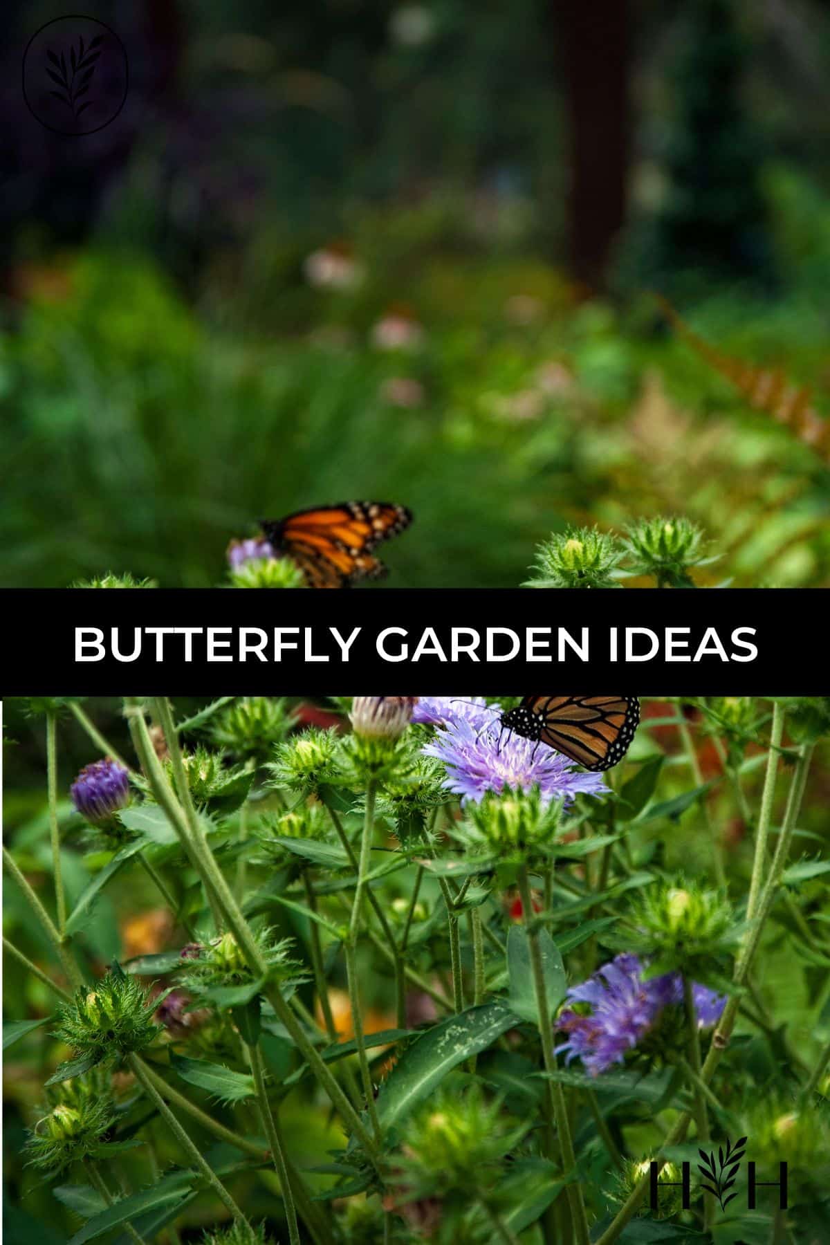 Butterfly garden ideas via @home4theharvest